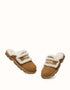 AUSTRALIAN SHEPHERD® Rilee